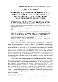 Коллекция декоративных травянистых многолетников отдела цветоводства Ботанического сада Самарского государственного университета