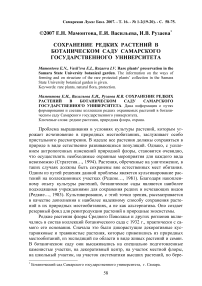 Сохранение редких растений в Ботаническом саду Самарского государственного университета