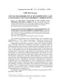 Состав коллекции роз в Ботаническом саду Самарского государственного университета