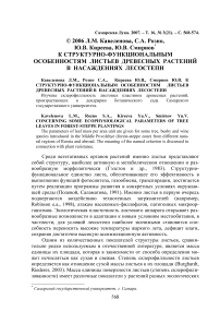 К структурно-функциональным особенностям листьев древесных растений в насаждениях лесостепи