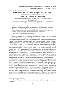 Ящерицы в коллекции Института экологии Волжского бассейна РАН