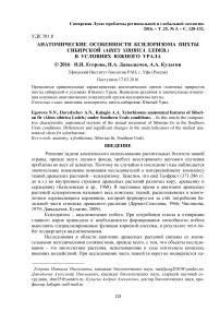 Анатомические особенности ксилоризома пихты сибирской (Abiessibirica ledeb.) в условиях Южного Урала