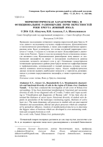 Морфометрическая характеристика и функциональное разнообразие почв окрестностей реки Еркута (Южный Ямал)