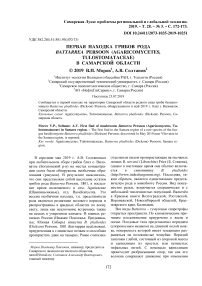 Первая находка грибов рода Battarrea persoon (Agaricomycetes, Tulostomataceae) в Самарской области