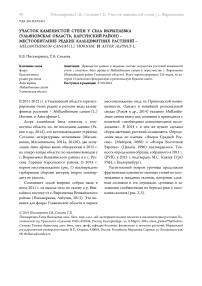 Участок каменистой степи у села Вырыпаевка (Ульяновская область, Карсунский район) - местообитание редких кальцефитных растений - Helianthemum canum  (L.) Hornem. и Aster alpinus L