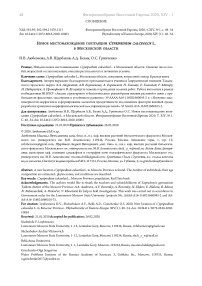 Новое местонахождение популяции Cypripedium calceolus L. в Московской области