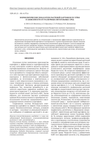 Морфологические показатели растений картофеля in vitro в зависимости от различных питательных сред