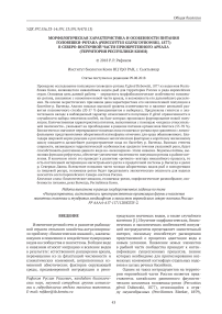 Морфологическая характеристика и особенности питания головешки-ротана (Perccottus glenii Dybowski, 1877) в северо-восточной части приобретенного ареала (территория Республики Коми)