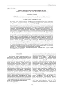 Агробактериальная трансформация культуры клеток василистника малого (Thalictrum minus L.)
