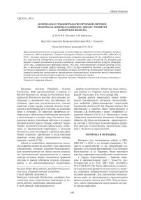 Материалы к гельминтофауне прудовой лягушки Pelophylax lessonae (Camerano, 1882) в г. Тольятти (Самарская область)