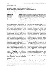 Горные тундры вулканических районов Кроноцкого заповедника (Восточная Камчатка)