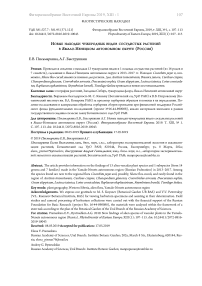 Новые находки чужеродных видов сосудистых растений в Ямало-Ненецком автономном округе (Россия)