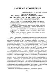 Коллекция ирисов природной флоры, интродуцируемых в Ботаническом саду Самарского госуниверситета