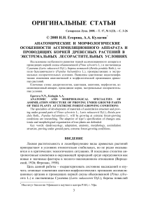 Анатомические и морфологические особенности ассимиляционного аппарата и проводящих корней древесных растений в экстремальных лесорастительных условиях