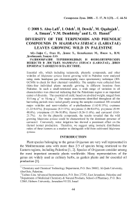 Diversity of the terpenoids and phenolic compounds in Majorana syriaca (Labiatae) leaves growing wild in Palestine