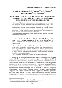 Восточная степная гадюка Vipera renardi (Reptilia, Viperidae) в Волжском бассейне: материалы по биологии, экологии и токсинологии