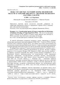 Виды сосудистых растений флоры Ивановской области в гербарии Института экологии Волжского бассейна РАН (PVB)