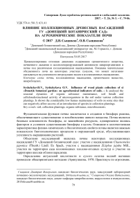 Влияние коллекционных древесных насаждений ГУ "Донецкий ботанический сад" на агрохимические показатели почв