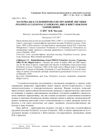 Материалы к гельминтофауне прудовой лягушки Pelophylax lessonae (Camerano, 1882) в Жигулевском заповеднике