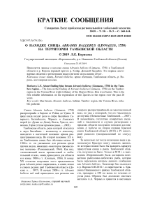 О находке синца Abramis ballerus (Linnaeus, 1758) на территории Тамбовской области