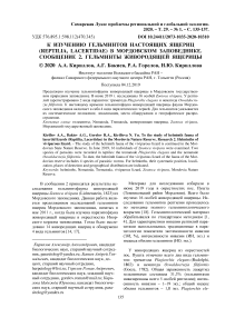 К изучению гельминтов настоящих ящериц (Reptilia, Lacertidae) в Мордовском заповеднике. Сообщение 2. Гельминты живородящей ящерицы