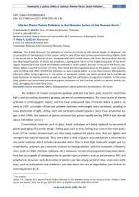 Marine plastic debris pollution in the western sector of the Russian Arctic