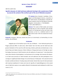 Specific character of relief and loose sediments forming in the coastal zone of tidal icy seas (in the context of the northern part of the Sea of Okhotsk) ecosystem