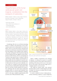 The performance of the human cardiovascular system and longevity: considerations from the standpoint of cardiometry