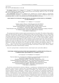 Point defects in nematic liquid crystal materials with conical anchoring at the interface