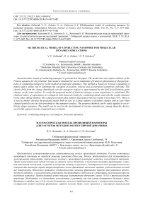 Mathematical model of conducting nanopore for molecular dynamics simulations