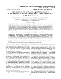 Биоморфология самосева Quercus robur L. в фитоценозах музея-заповедника "Парк Монрепо"