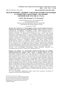 Мезоэвтрофные ельники таволгово-дернистоосоковые и аконитово-таволговые сфагновые европейской России и Урала