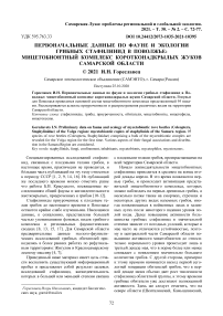 Первоначальные данные по фауне и экологии грибных стафилинид в Поволжье: мицетобионтный комплекс коротконадкрылых жуков Самарской области