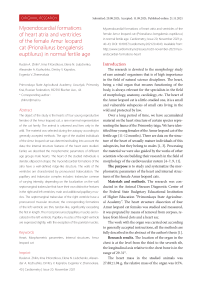 Myoendocardial formations of heart atria and ventricles of the female Amur leopard cat (Prionailurus bengalensis euptilurus) in normal fertile age