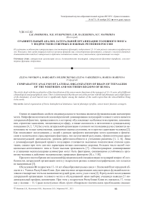 Сравнительный анализ латеральной организации головного мозга у подростков северных и южных регионов России