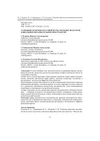 Успешные практики наставничества молодых педагогов в школьном образовательном пространстве