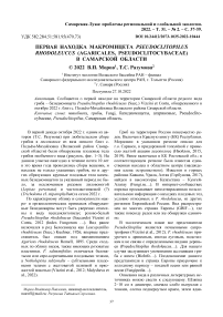 Первая находка макромицета Pseudoclitopilus rhodoleucus (Agaricales, Pseudoclitocybaceae) в Самарской области