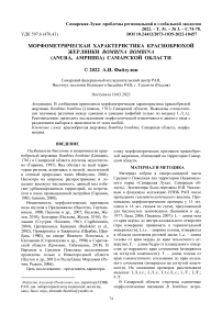 Морфометрическая характеристика краснобрюхой жерлянки Bombina bombina (Anura, Amphibia) Самарской области