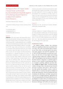 Biological effect of copper oxide nanoparticles synthesized by Saccharomyces boulardii against of multidrug resistant bacteria isolated from diabetic foot infections