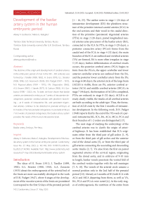 Development of the basilar artery system in the human embryonic period