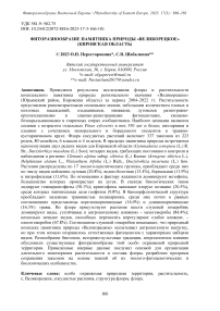 Фиторазнообразие памятника природы «Великорецкое» (Кировская область)