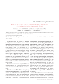 Molecular cellular effects by proton and у-irradiation in the B16 murine melanoma model in vivo