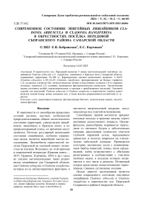 Современное состояние эпигейных лишайников Cladonia arbuscula и Cladonia rangiferina  в окрестностях посёлка Передовой Сызранского района Самарской области