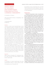 Speckle images of the vessels and hydrodynamic phantoms in optical coherence tomography