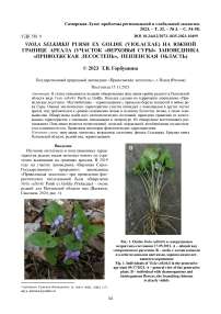 Viola selkirkii pursh ex goldie (Violaceae) на южной границе ареала (участок «Верховья Суры» заповедника «Приволжская лесостепь», Пензенская область)