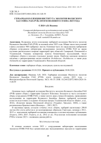 Гербарная коллекция Института экологии Волжского бассейна РАН (PVB): итоги полевого сезона 2023 года