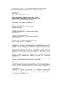 Бактериальные сообщества цианосферы монокультур цианобактерий из пресных озер Котокель и Дикое (Бурятия, Россия)