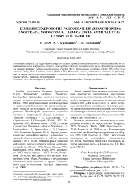 Большие Жаброногие Ракообразные (Branchiopoda: Anostraca, Notostraca, Laevicaudata, Spinicaudata) Самарской области