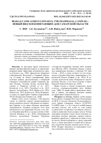 Шакал Canis aureus Linnaeus, 1758 (Mammalia, Caninae) – новый вид млекопитающих для Самарской области