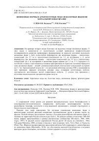 Жизненные формы и архитектурные модули болотных видов ив бореальной зоны Евразии